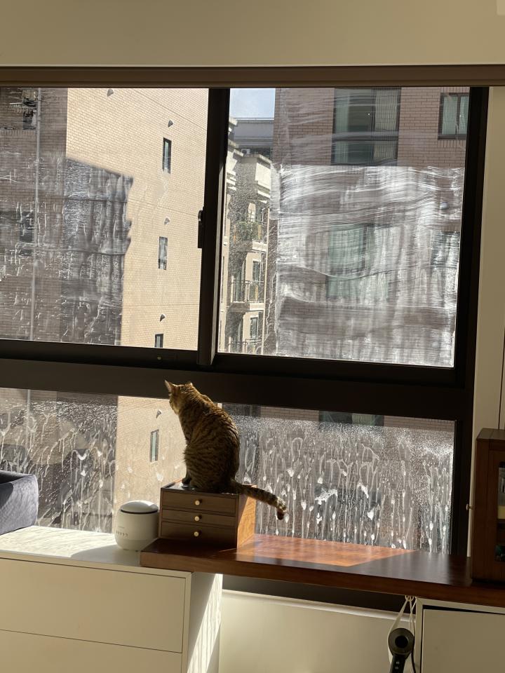 玻璃清潔案件圖片