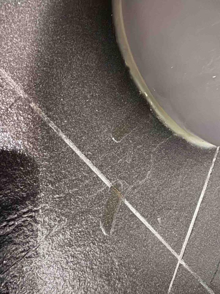 馬桶裝修案件圖片