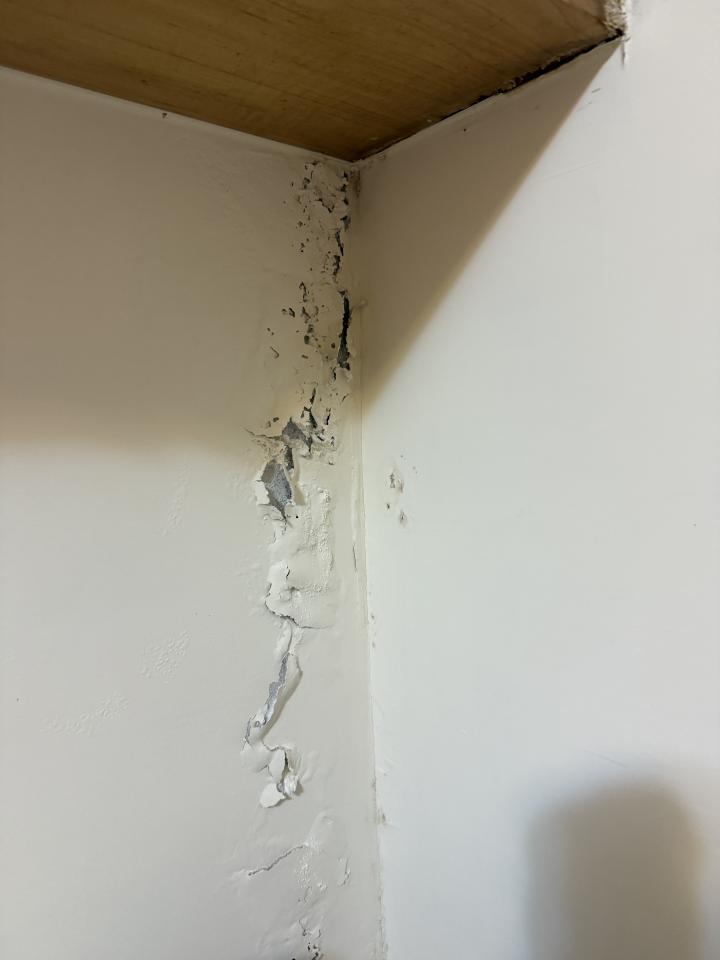 壁癌處理案件圖片