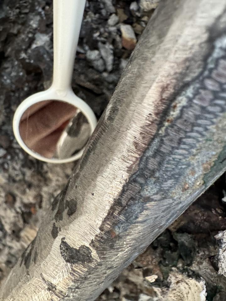 瓦斯管線更換案件圖片