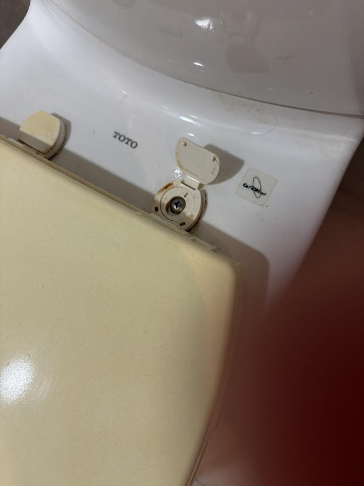 馬桶裝修案件圖片