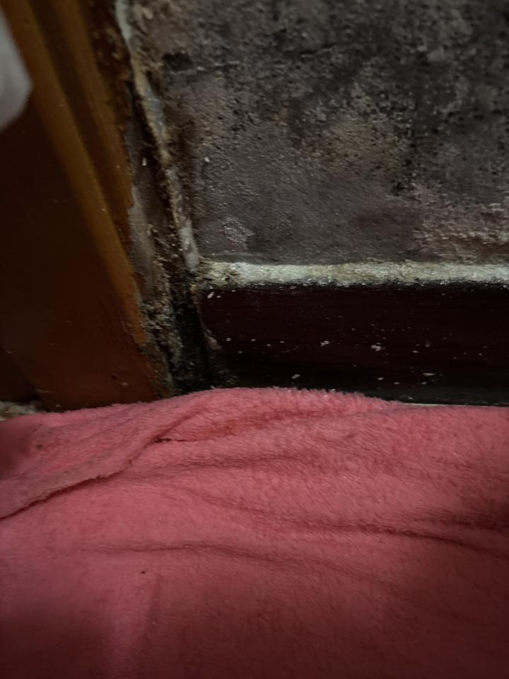 拆除工程案件圖片