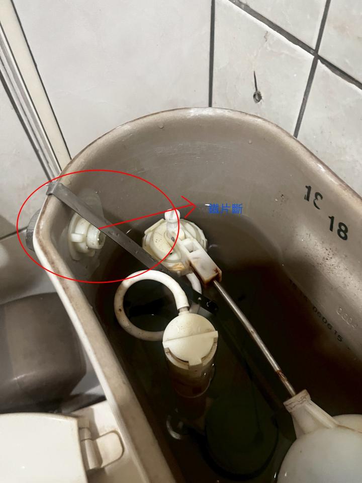 馬桶裝修案件圖片