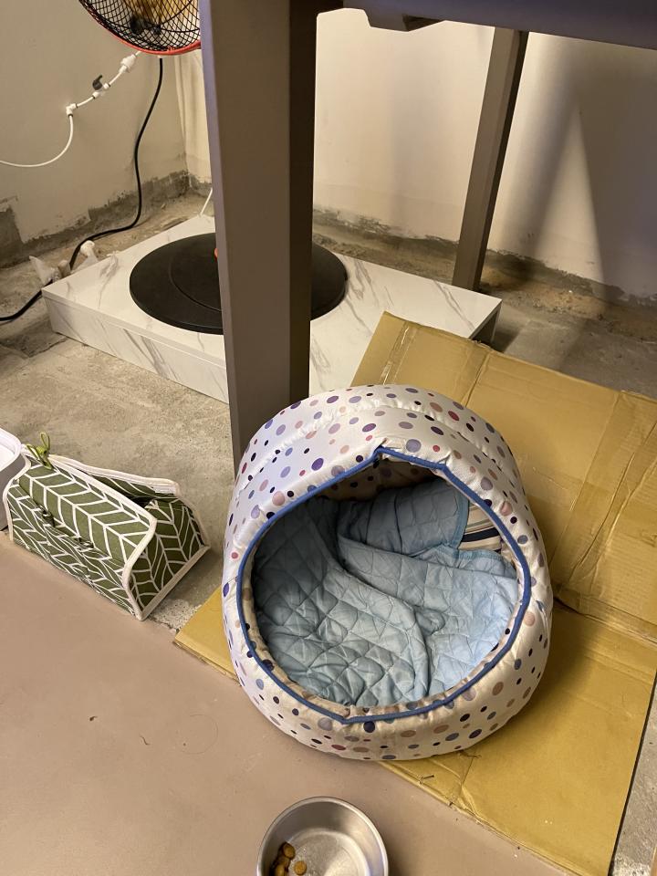 泥作/水泥施工案件圖片