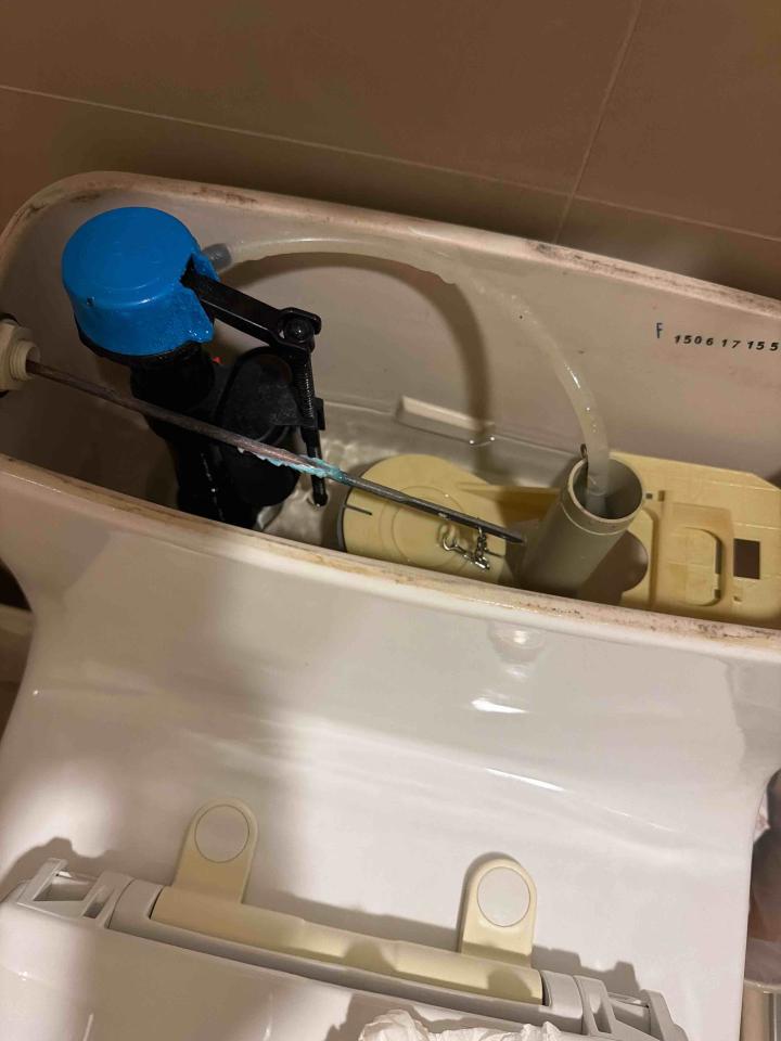 馬桶裝修案件圖片