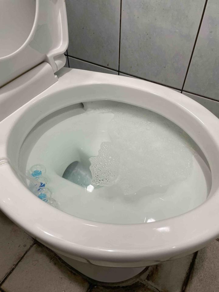 馬桶裝修案件圖片