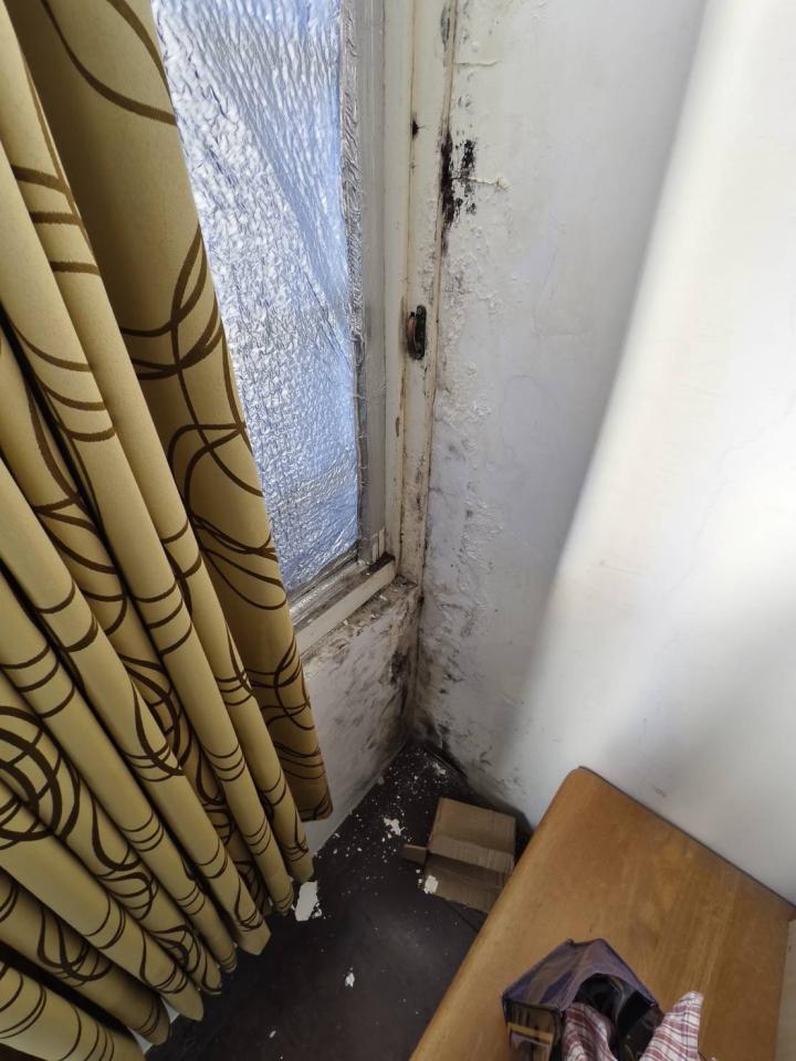 壁癌處理案件圖片