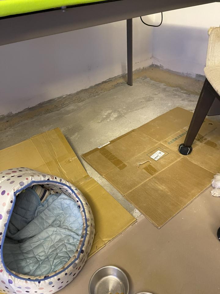 泥作/水泥施工案件圖片