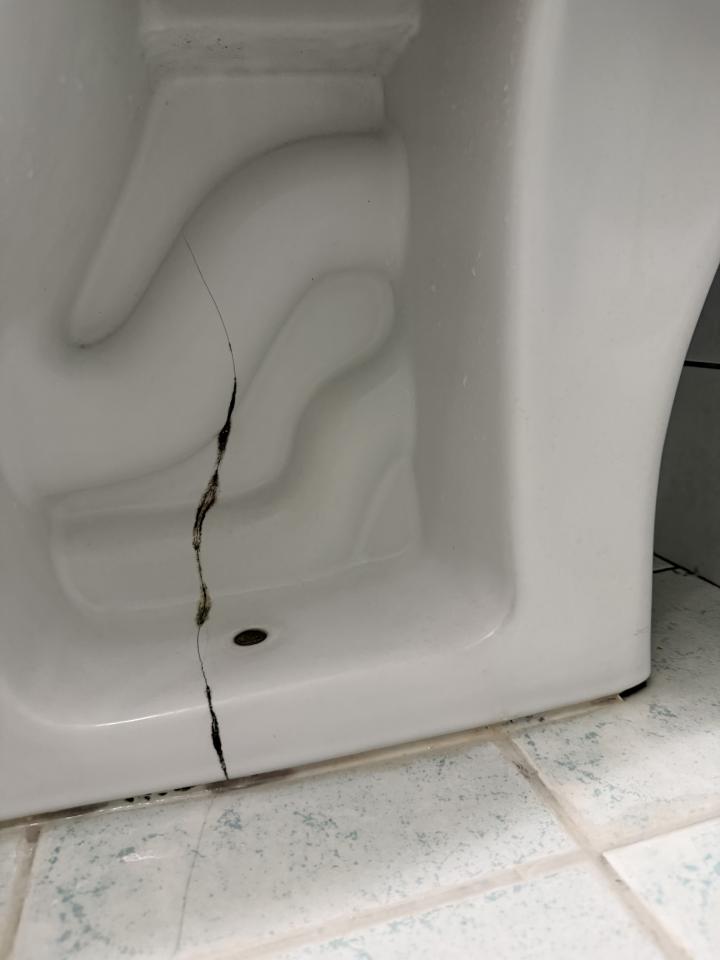 馬桶裝修案件圖片