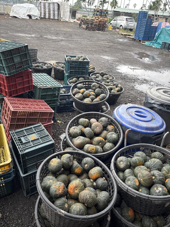 代收垃圾案件圖片