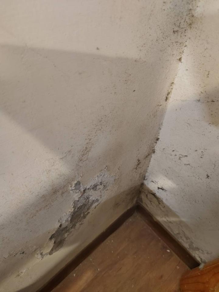 油漆工程案件圖片