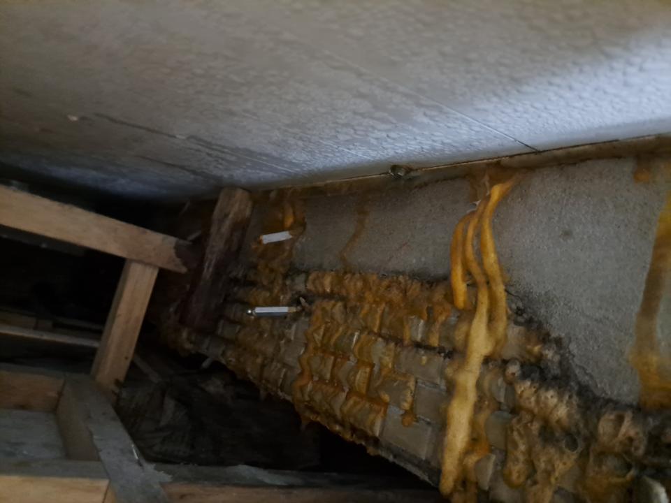 漏水處理案件圖片