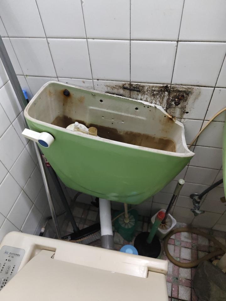 馬桶裝修案件圖片