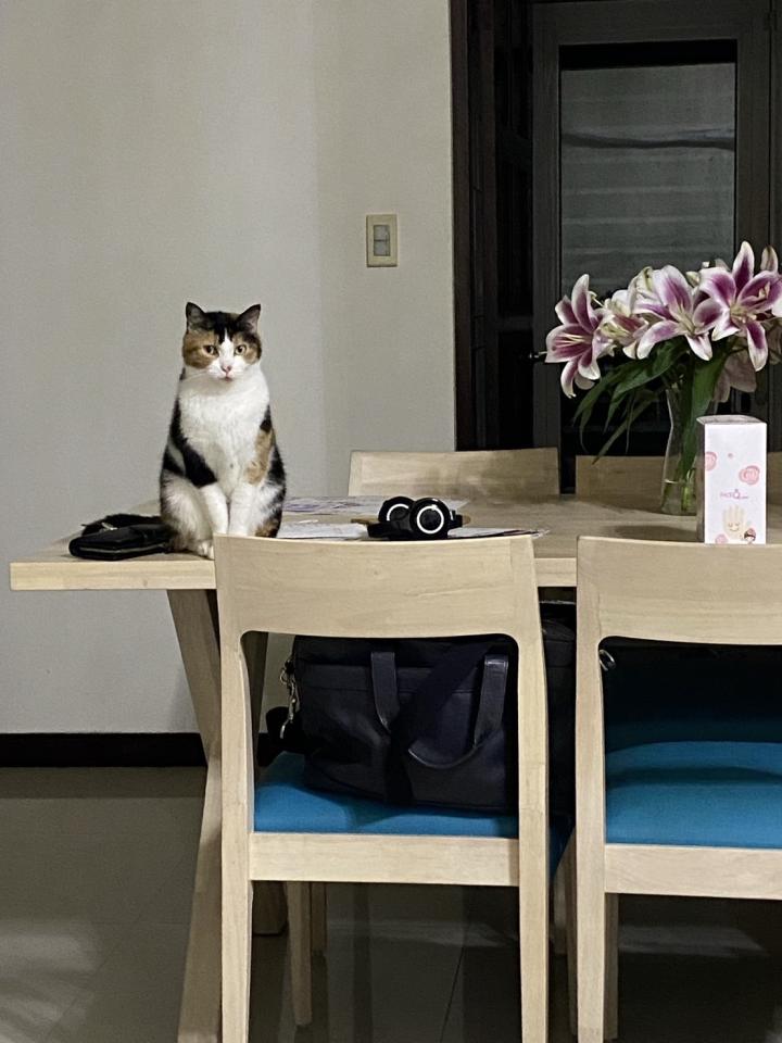 家具維修案件圖片