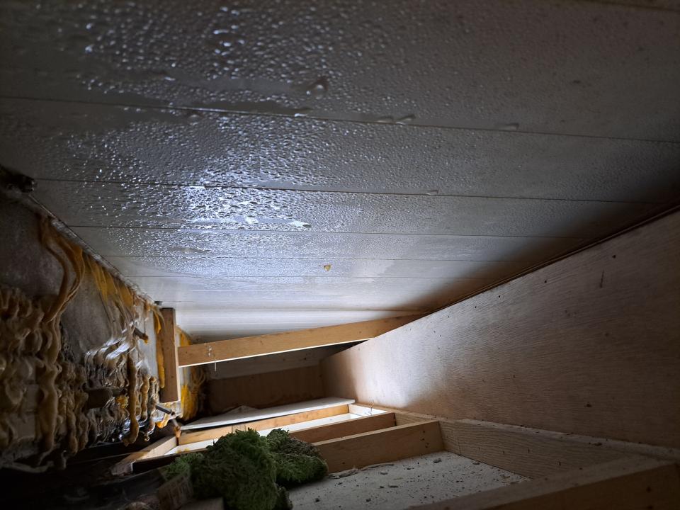 漏水處理案件圖片