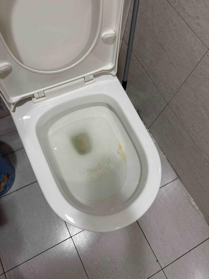 馬桶裝修案件圖片