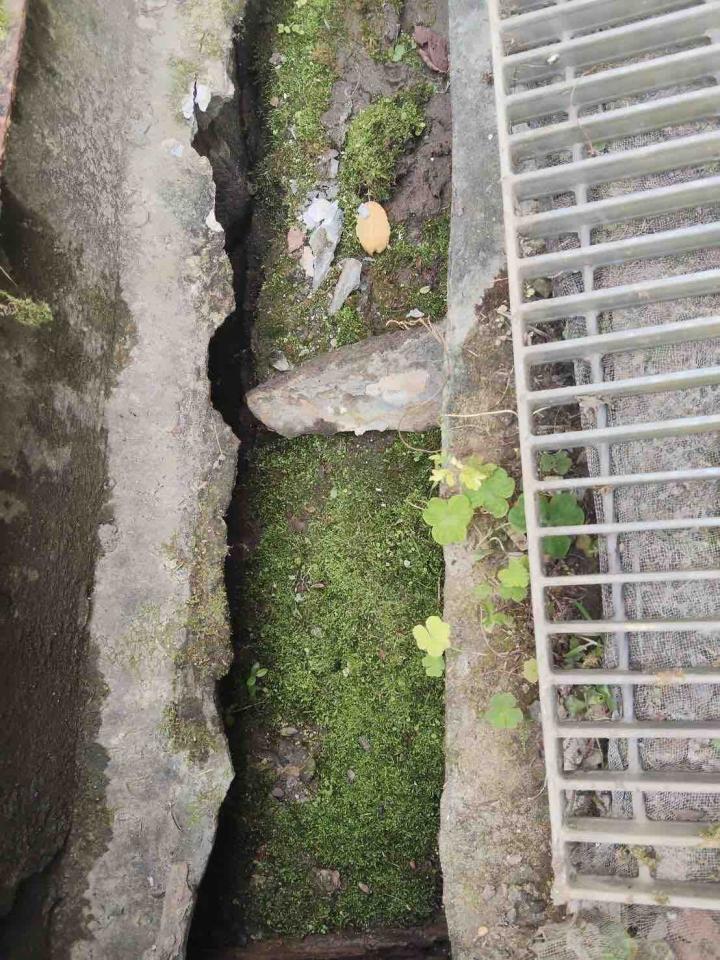 泥作/水泥施工案件圖片