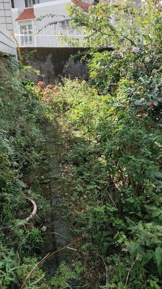 園藝維護案件圖片