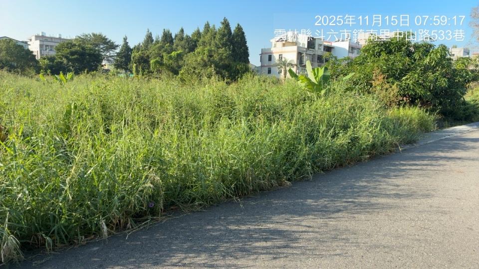 園藝維護案件圖片