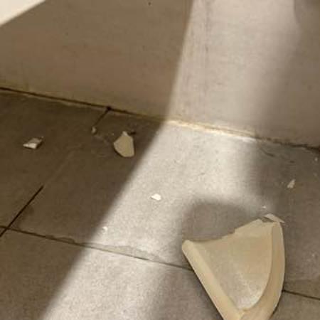 馬桶裝修案件圖片