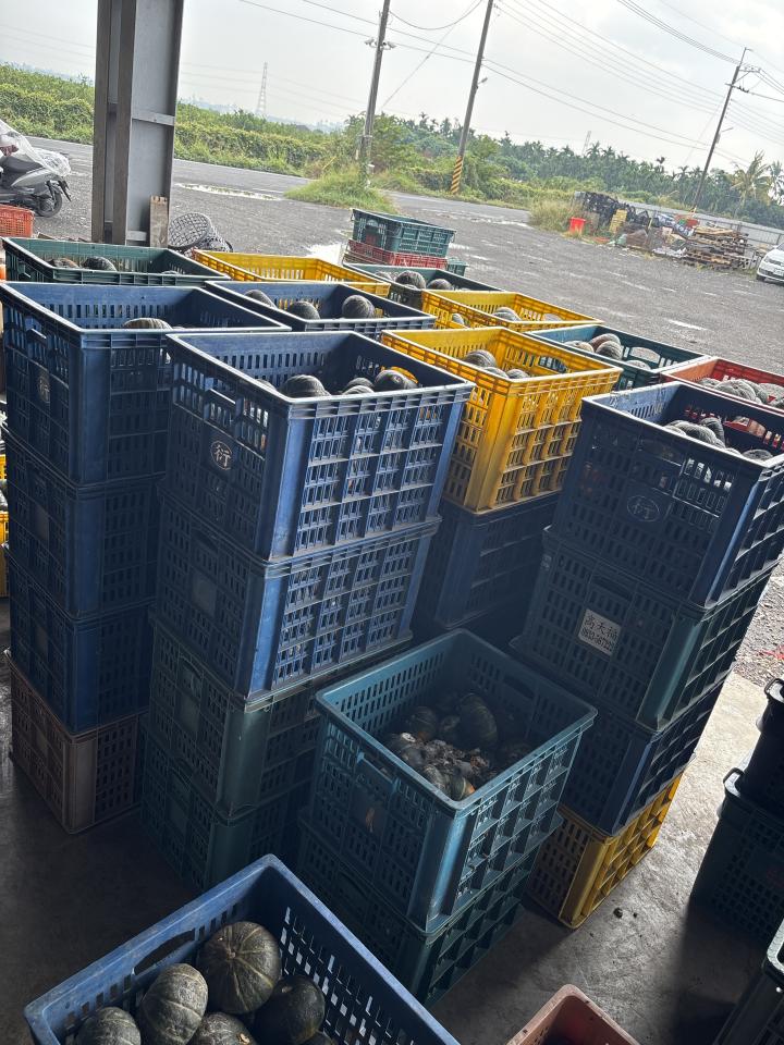 代收垃圾案件圖片