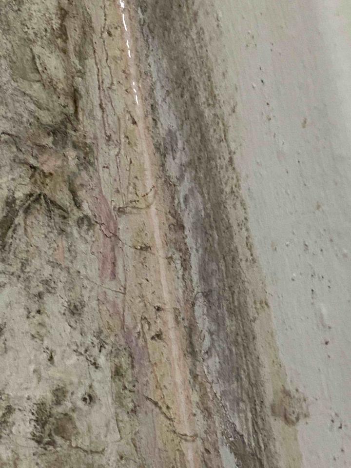 居家修繕案件圖片