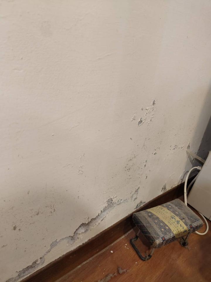 油漆工程案件圖片