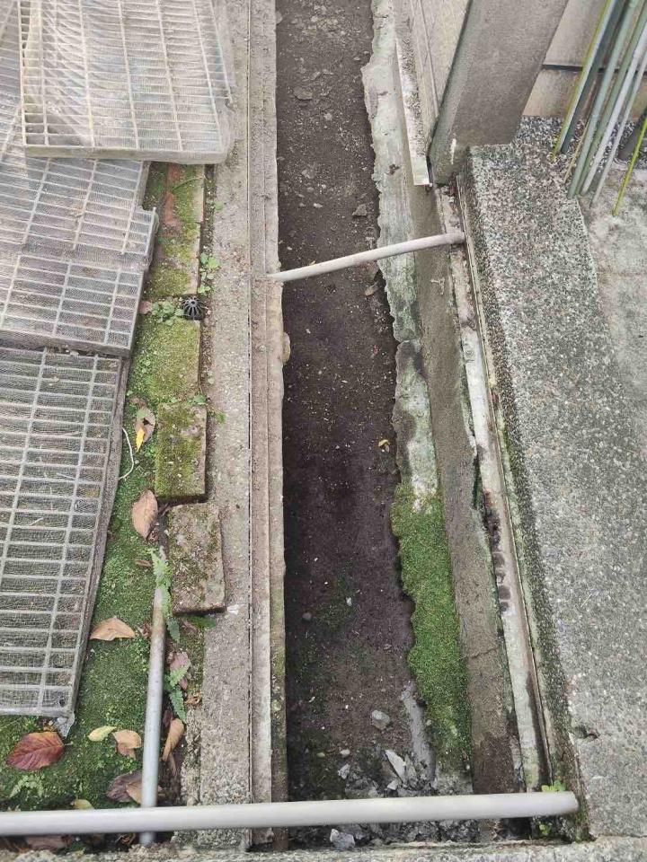 泥作/水泥施工案件圖片