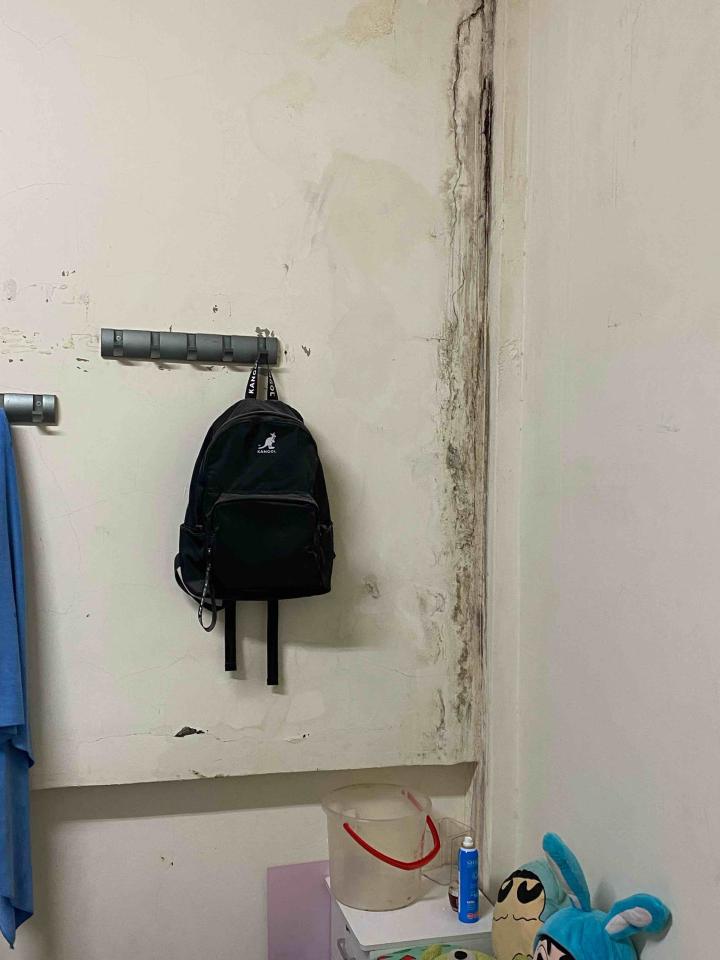 居家修繕案件圖片