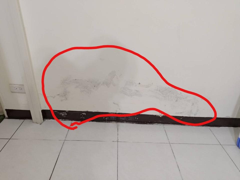 馬桶裝修案件圖片