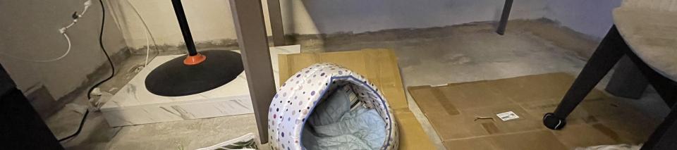 泥作/水泥施工案件圖片