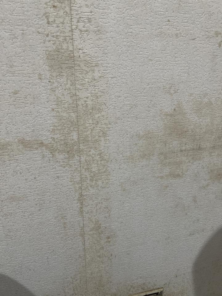 壁紙施工案件圖片