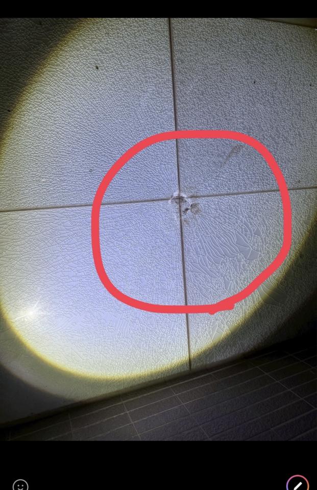 採光罩案件圖片