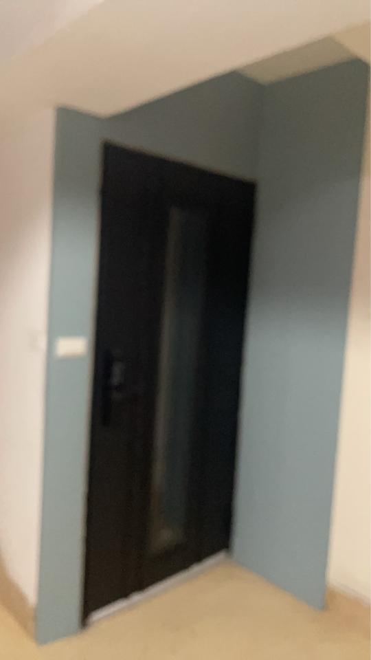 油漆工程案件圖片