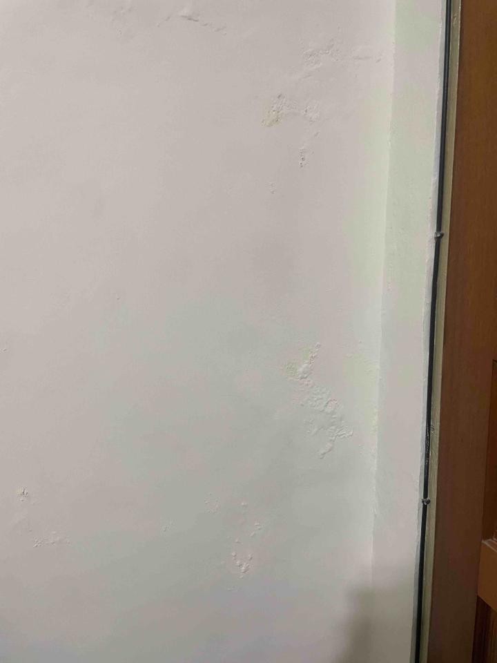 油漆工程案件圖片