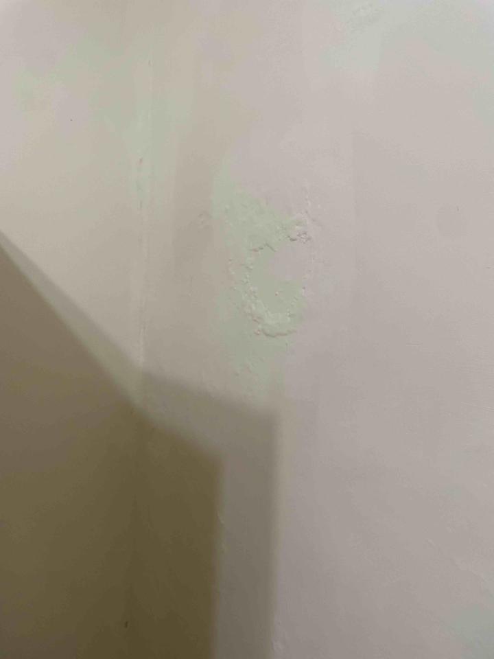 油漆工程案件圖片