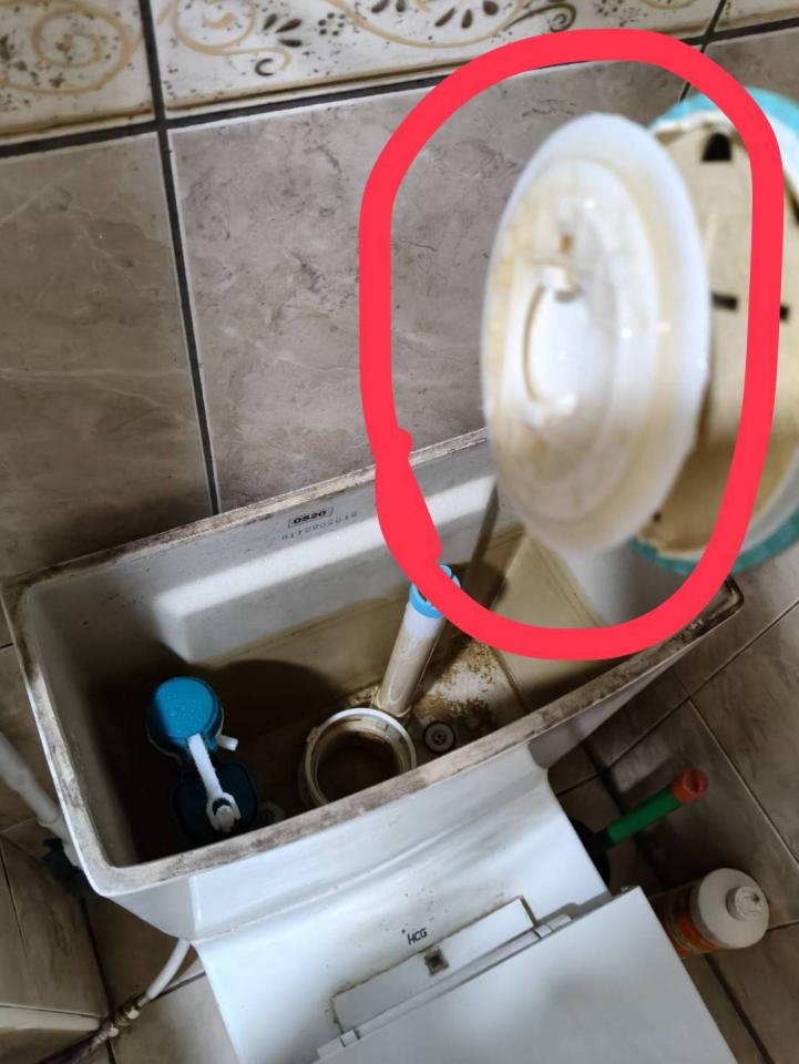 馬桶裝修案件圖片