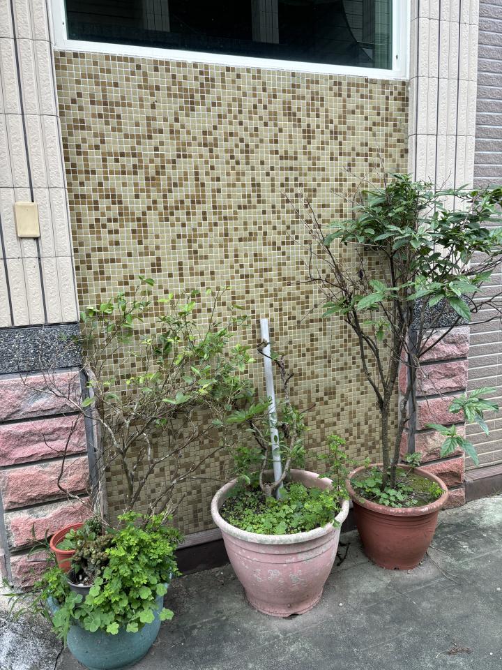 大型垃圾回收案件圖片