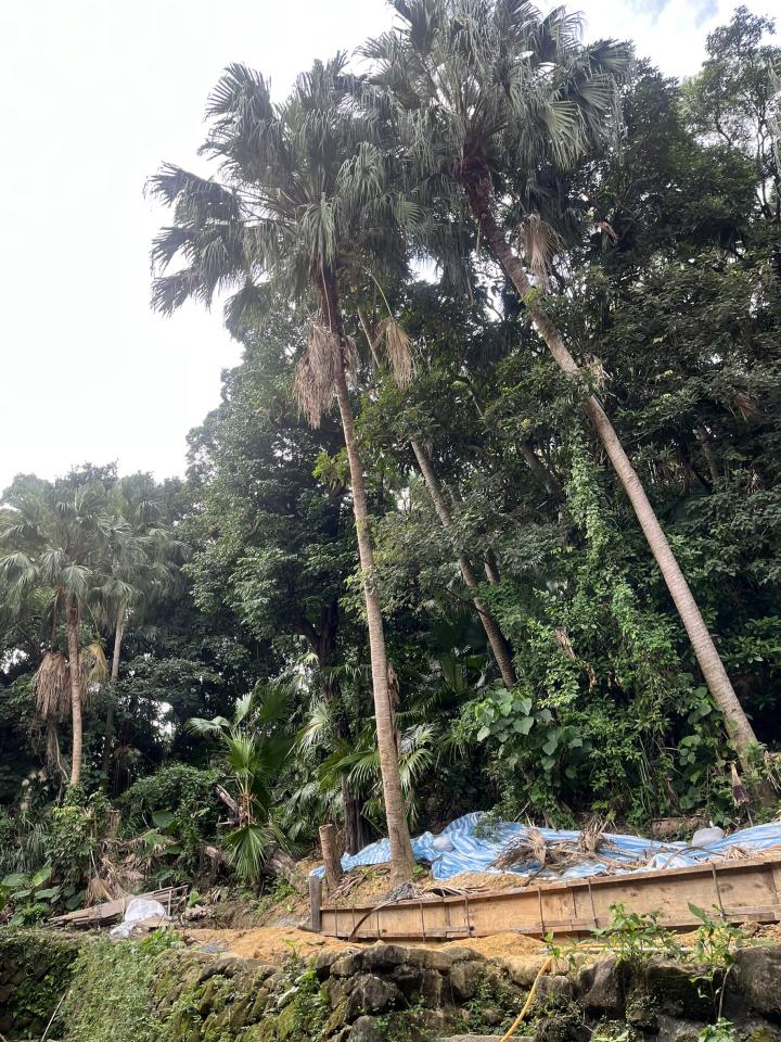 園藝維護案件圖片