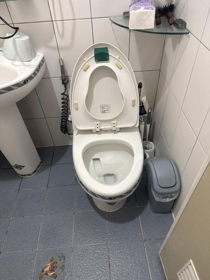 馬桶裝修案件圖片