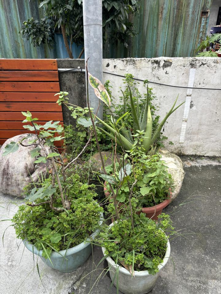 大型垃圾回收案件圖片