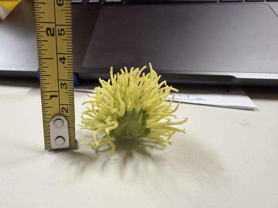 3D列印案件圖片