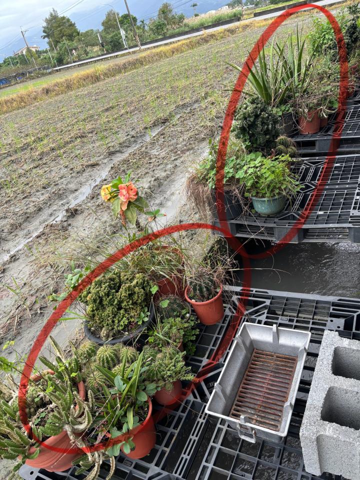 大型垃圾回收案件圖片