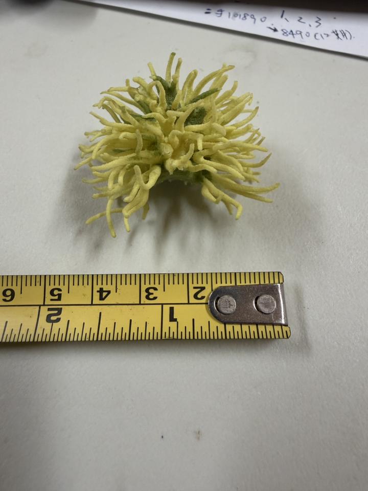 3D列印案件圖片