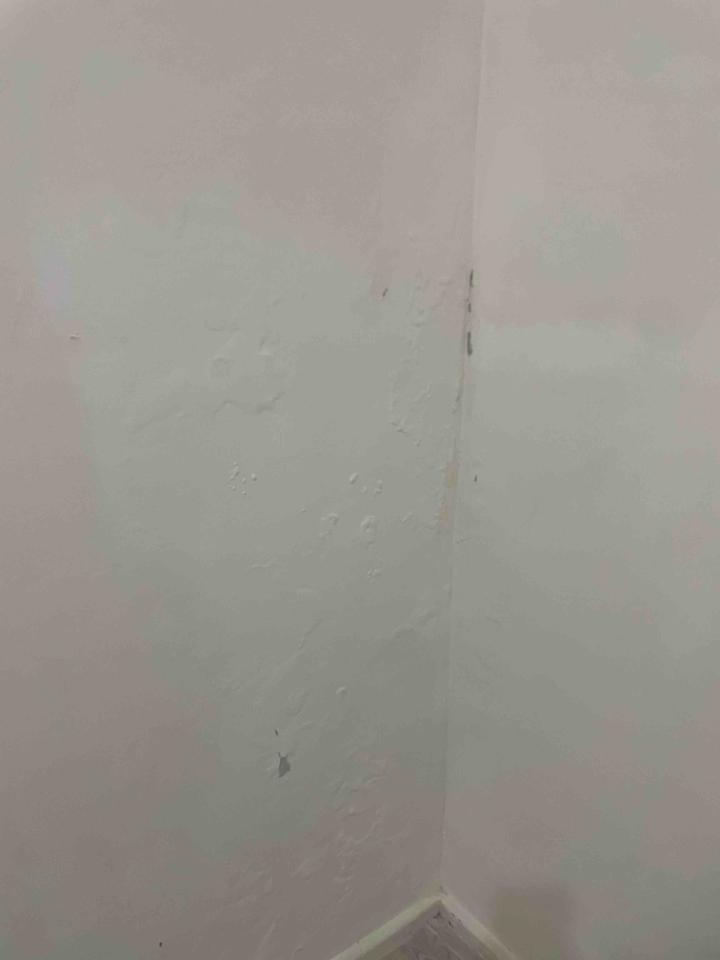 油漆工程案件圖片