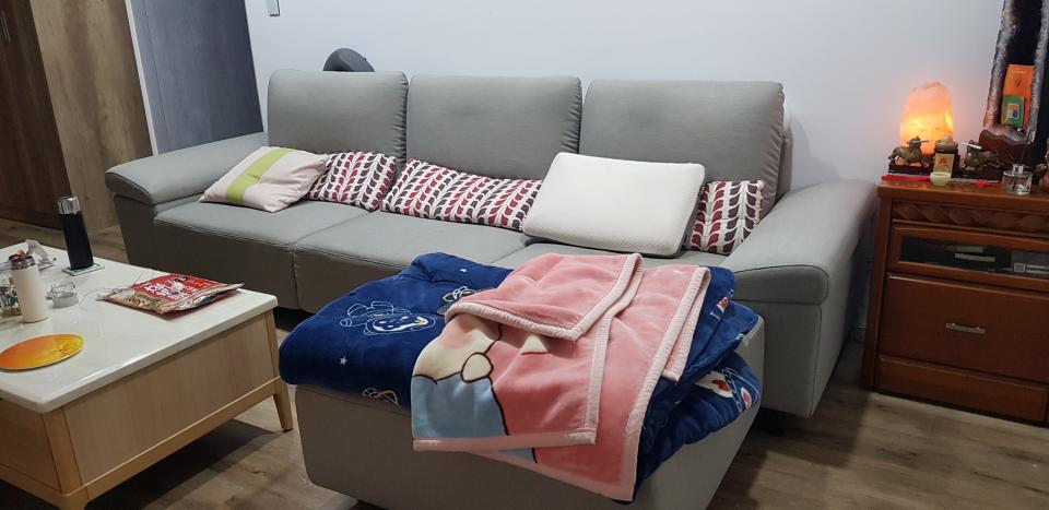 沙發清潔案件圖片