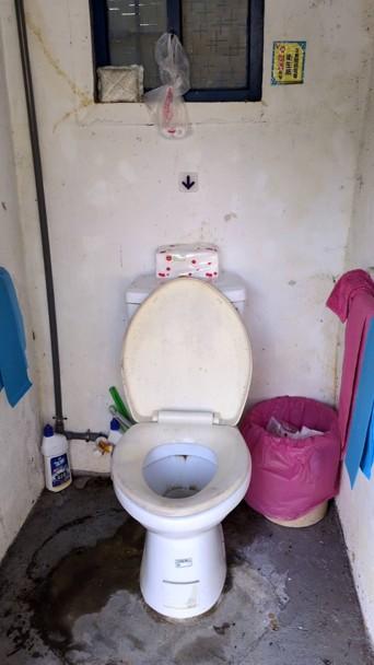 馬桶裝修案件圖片