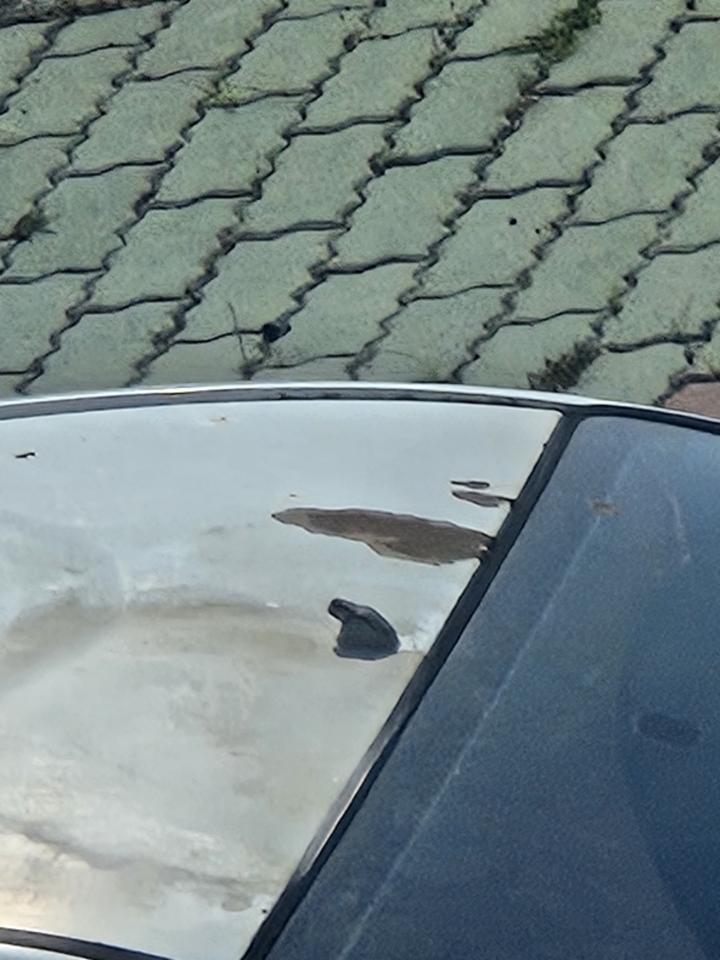 汽車板金烤漆案件圖片