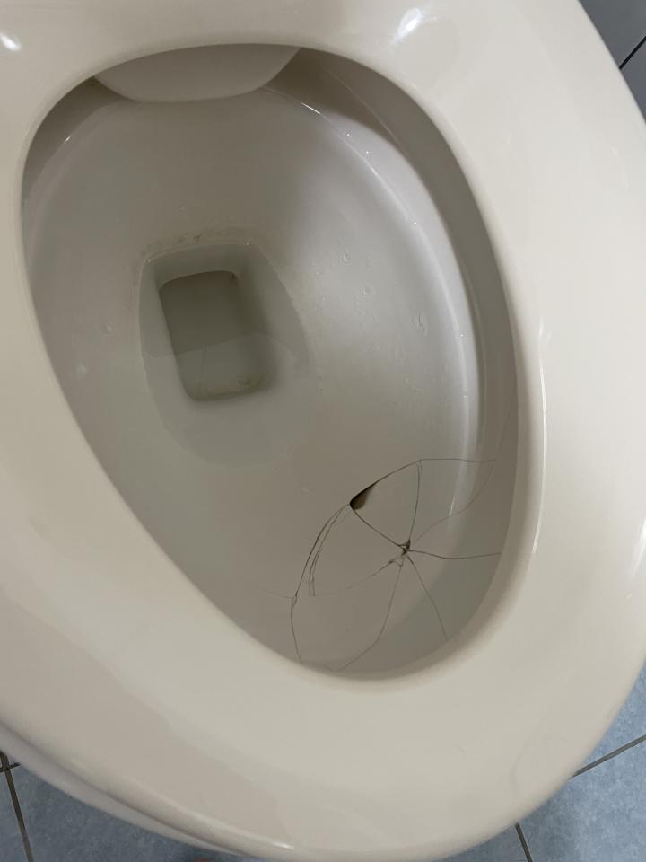 馬桶裝修案件圖片