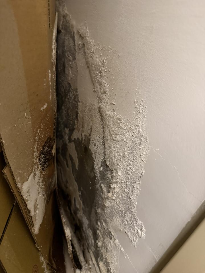 壁癌處理案件圖片